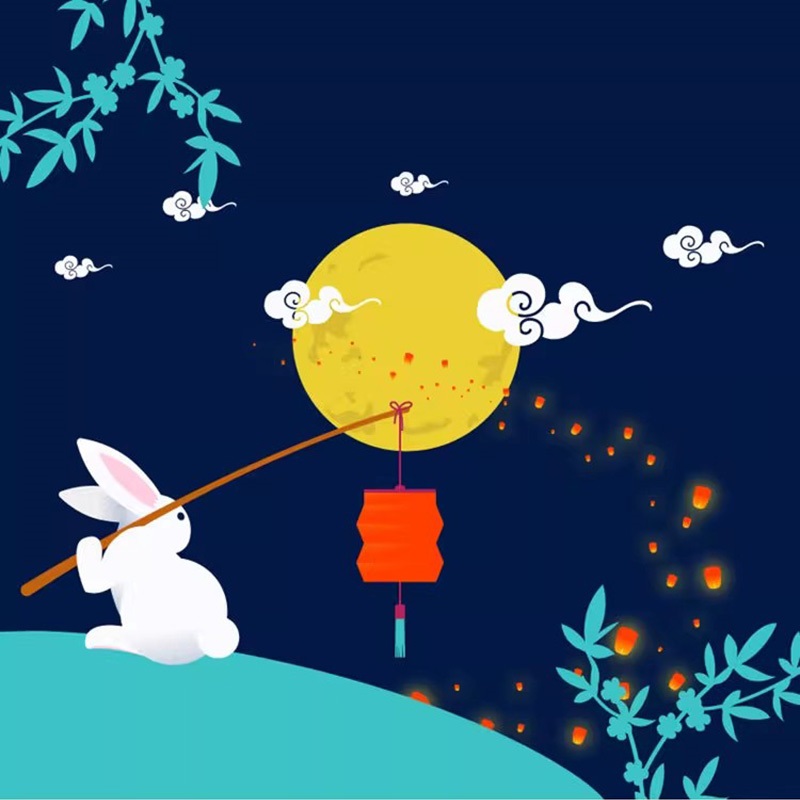 일본 후로시키 스시 도시락 천 손수건, 달 토끼 패턴  - Furoshiki 리뷰 및 가격