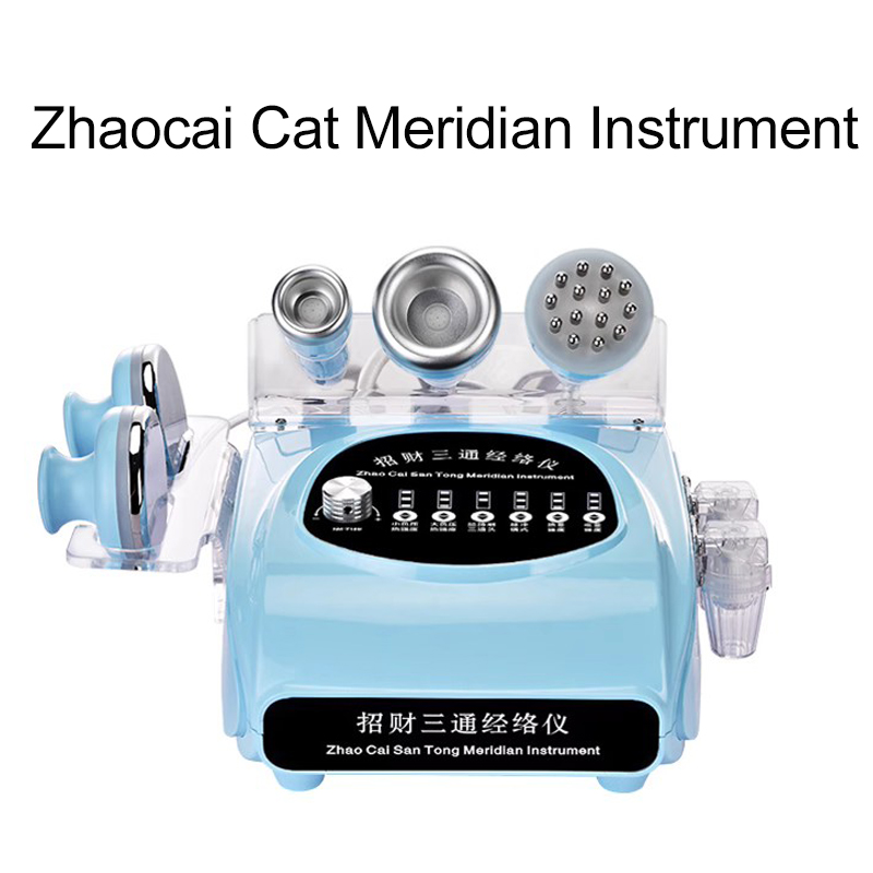 전기 스크래핑 기구, 경락 마사지 삼중 마스터, 흡입기 - Japanese Knife 리뷰 및 가격